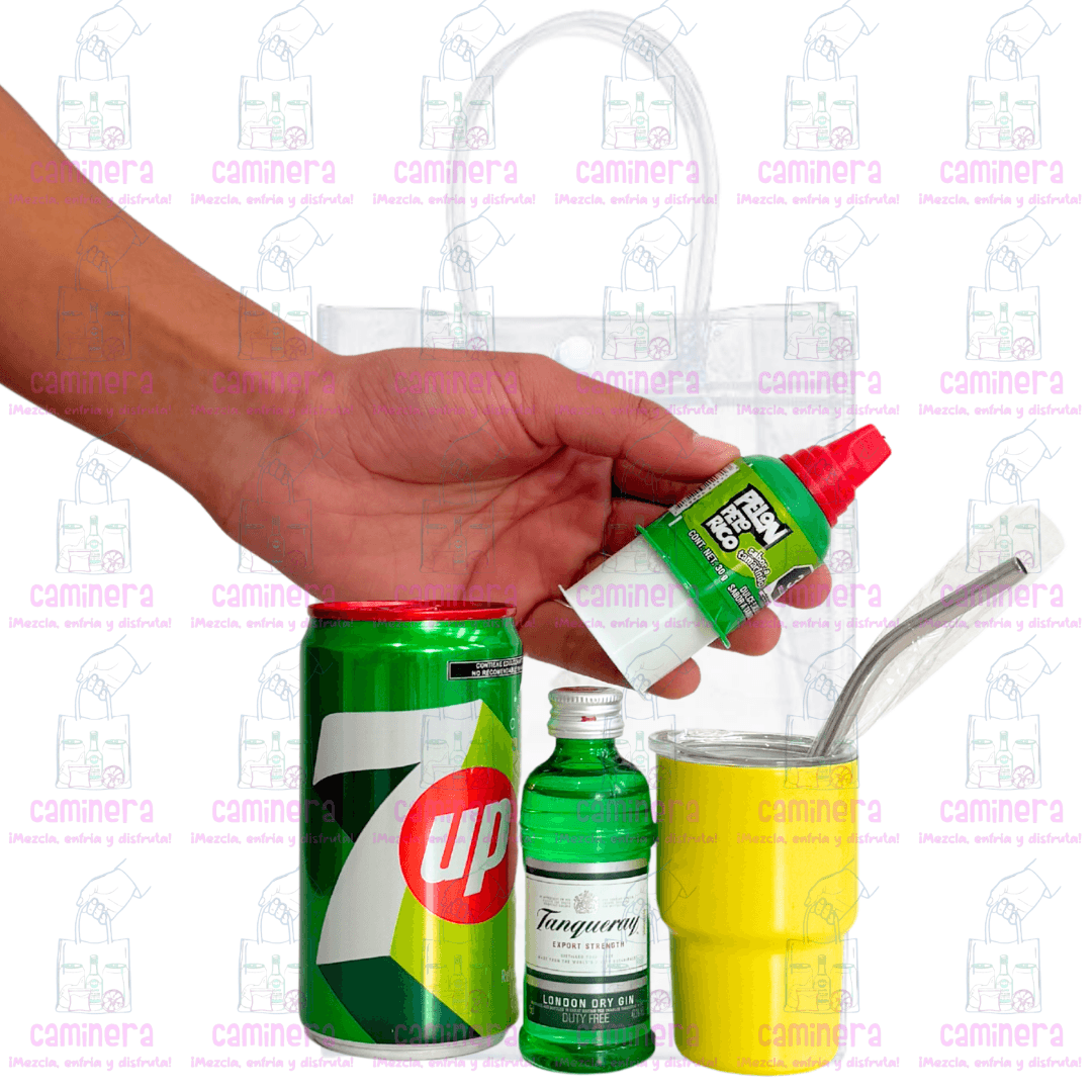 Mini Kit Gin Tanqueray (Con Termo)