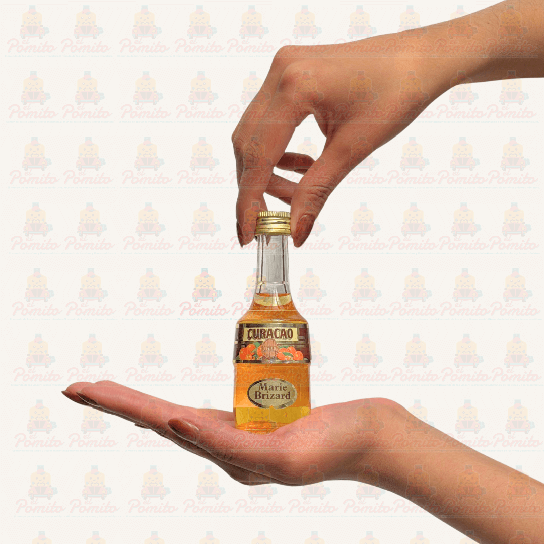 Mini Licor Marie Brizad Curacao 50ml.